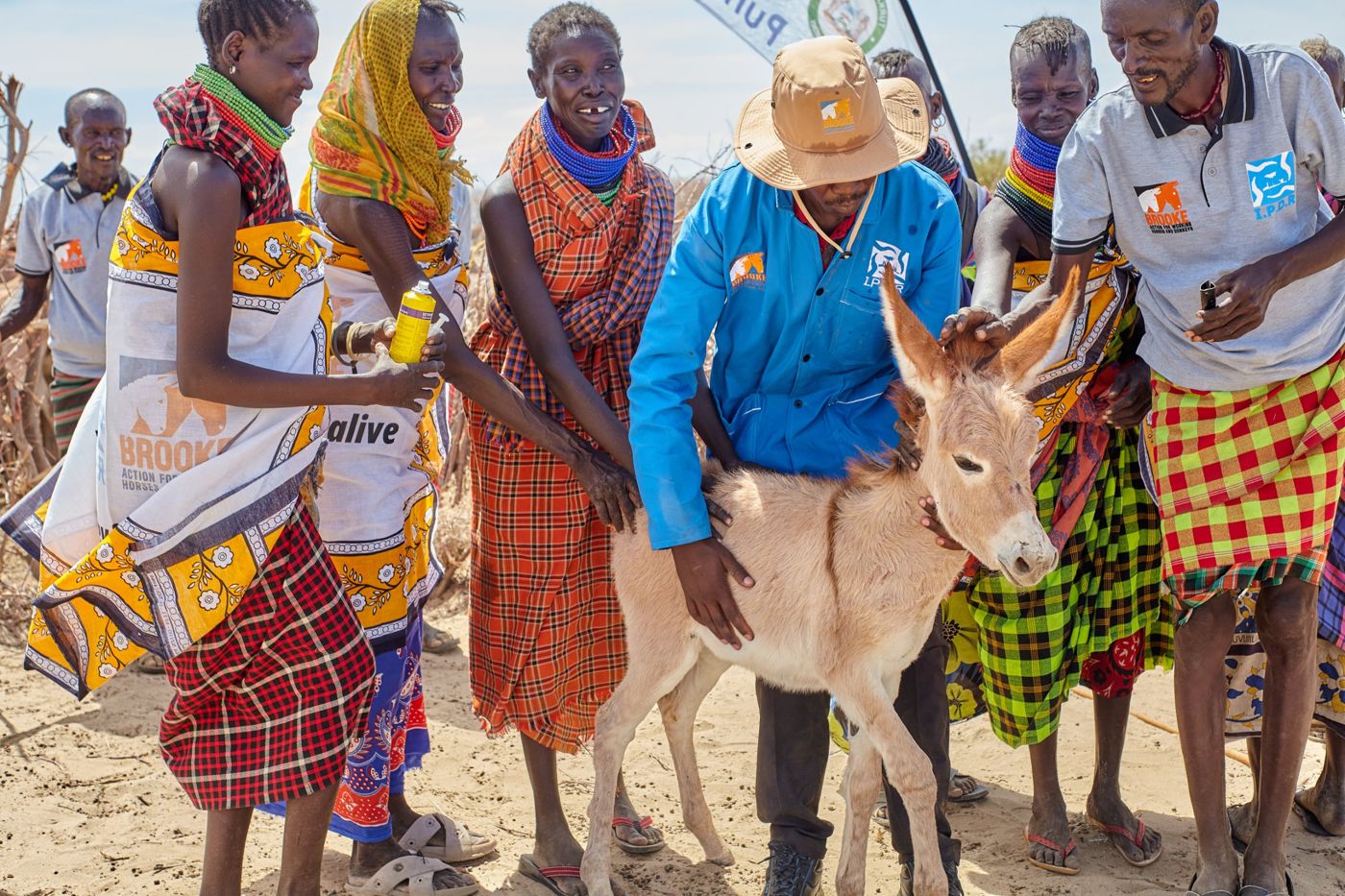 Donkey owner and community health workers with a donkey foal during treatment