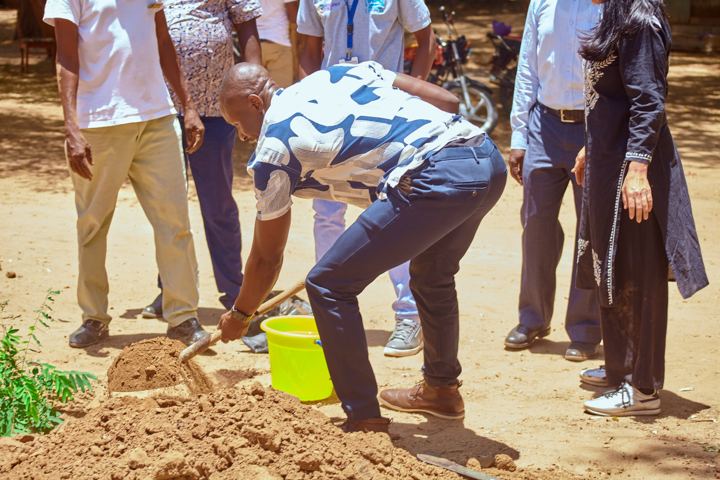 Digging a hole for tree planting
